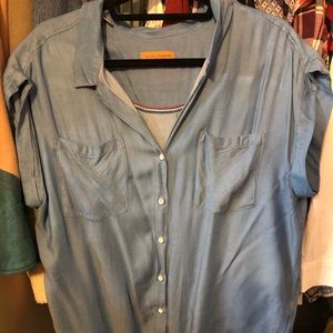 Blue blouse button